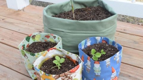 three hand sewn cotton grow bags